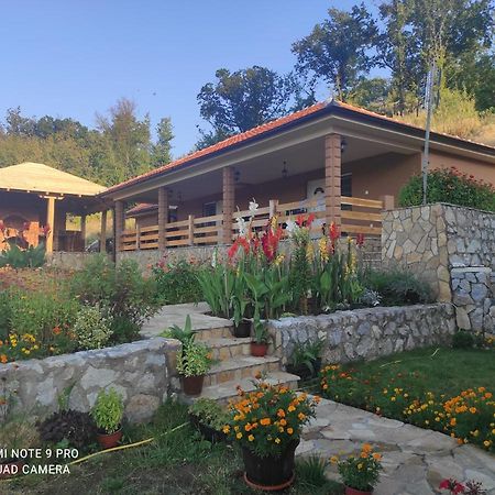 Vila Vera Borsko Jezero 외부 사진