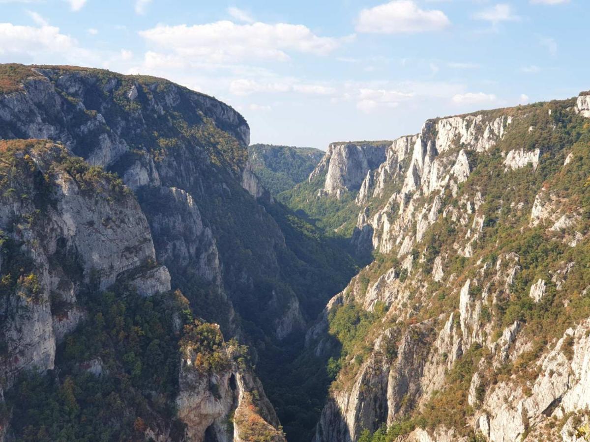 Vila Vera Borsko Jezero 외부 사진