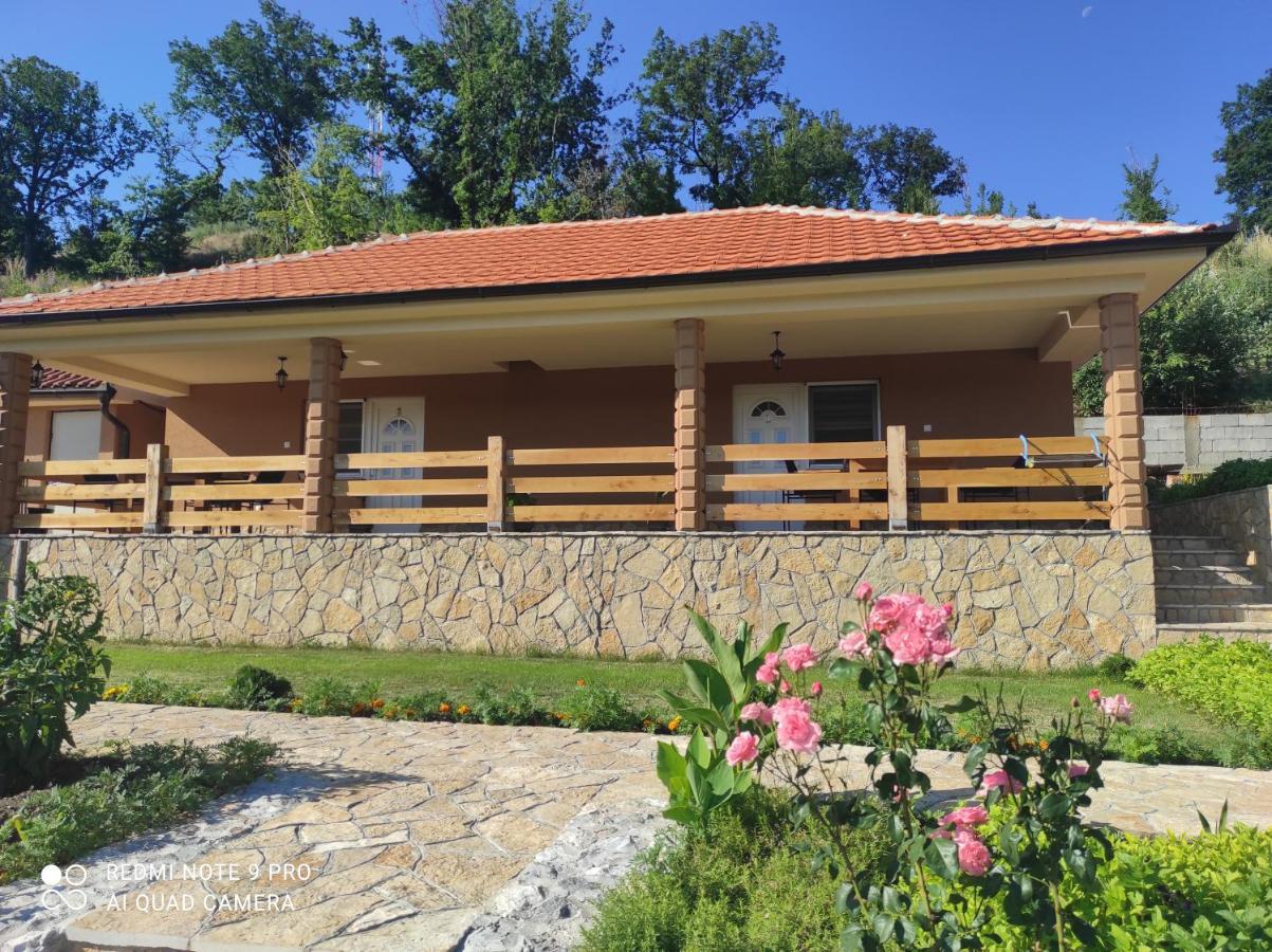 Vila Vera Borsko Jezero 외부 사진