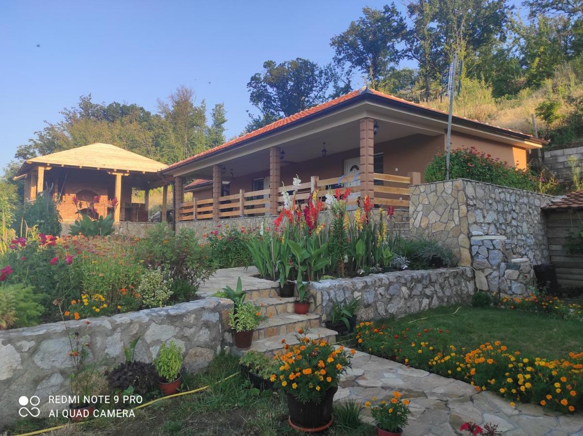 Vila Vera Borsko Jezero 외부 사진